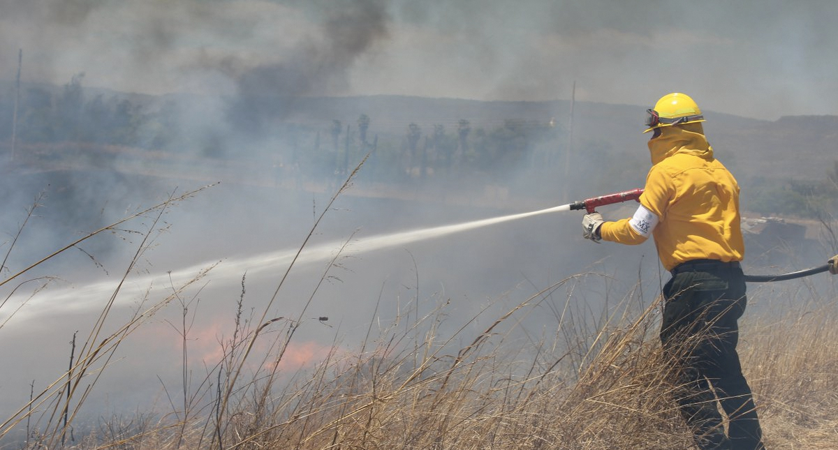 Al menos seis nuevos incendios forestales en Oaxaca
