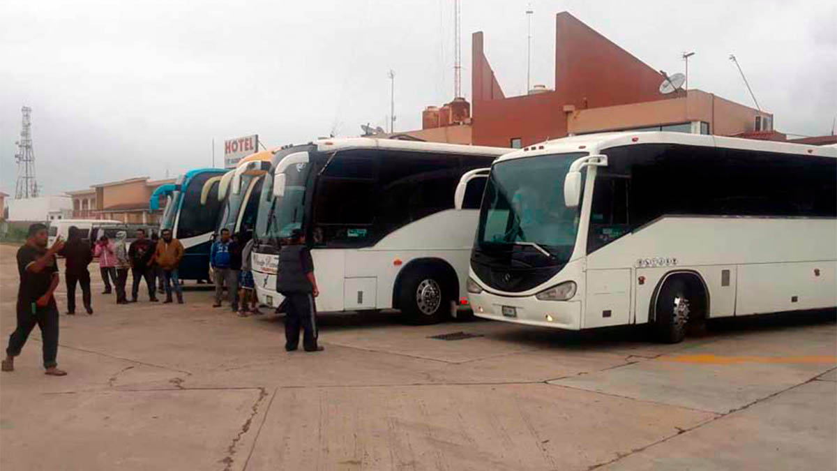 Migración sancionará a empresas que transporten indocumentados Migración sancionará a empresas que transporten indocumentados