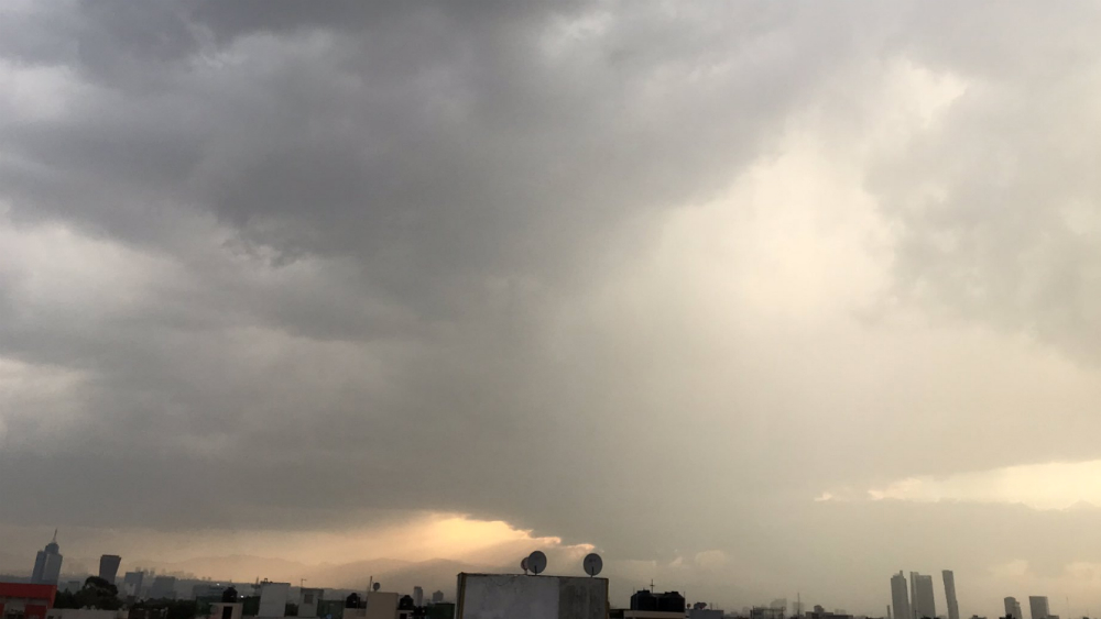 Lluvia y viento tiran cuatro árboles y una lona en Ciudad de México