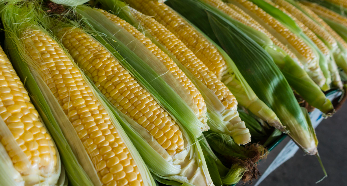 Proponen arancel para importaciones agrícolas procedentes de EE.UU.