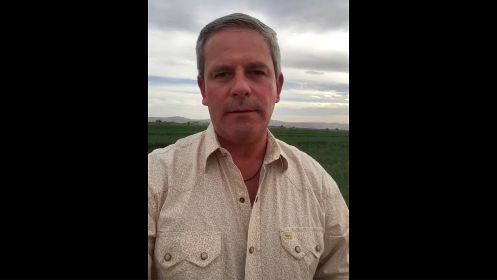 Marcelo Torres invita a AMLO a discutir sobre cuenca lechera de la Laguna Marcelo Torres invita a AMLO a discutir sobre cuenca lechera de la Laguna