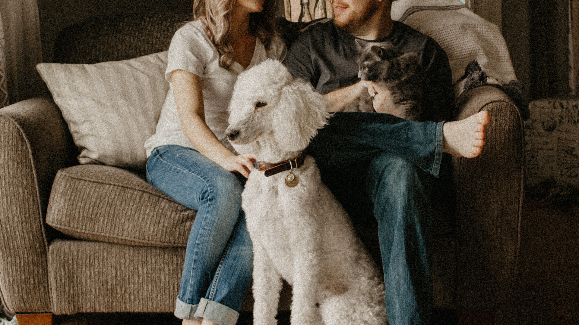Proteja a sus mascotas durante la Contingencia Ambiental