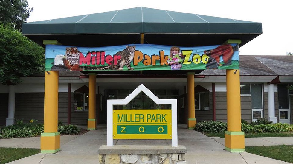 Zoológico sacrifica a flamenco por niño que le arrojó piedra - miller-park-zoo