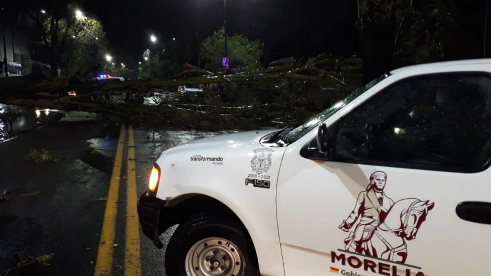 Tromba en Morelia deja un saldo de 10 árboles y un espectacular caídos