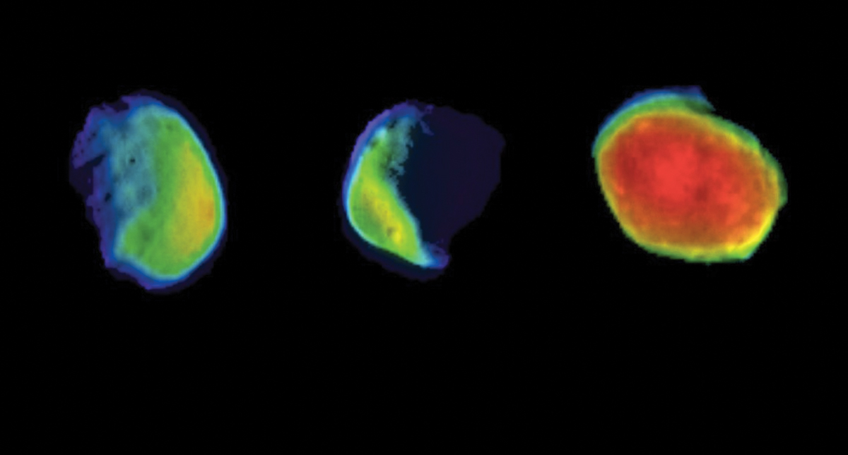NASA obtiene imágenes de Luna de Marte NASA obtiene imágenes de Luna de Marte