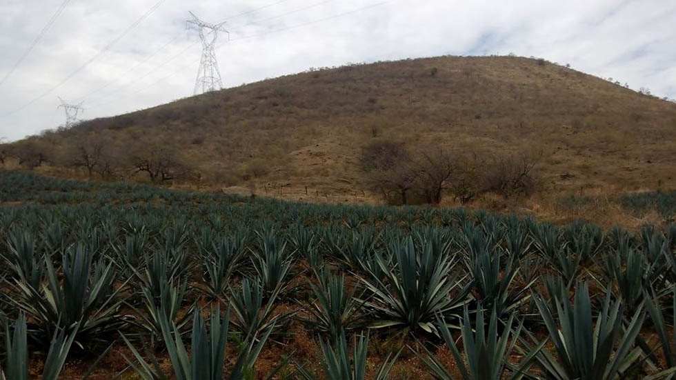 Hayan cuatro cuerpos en fosa clandestina de Nayarit