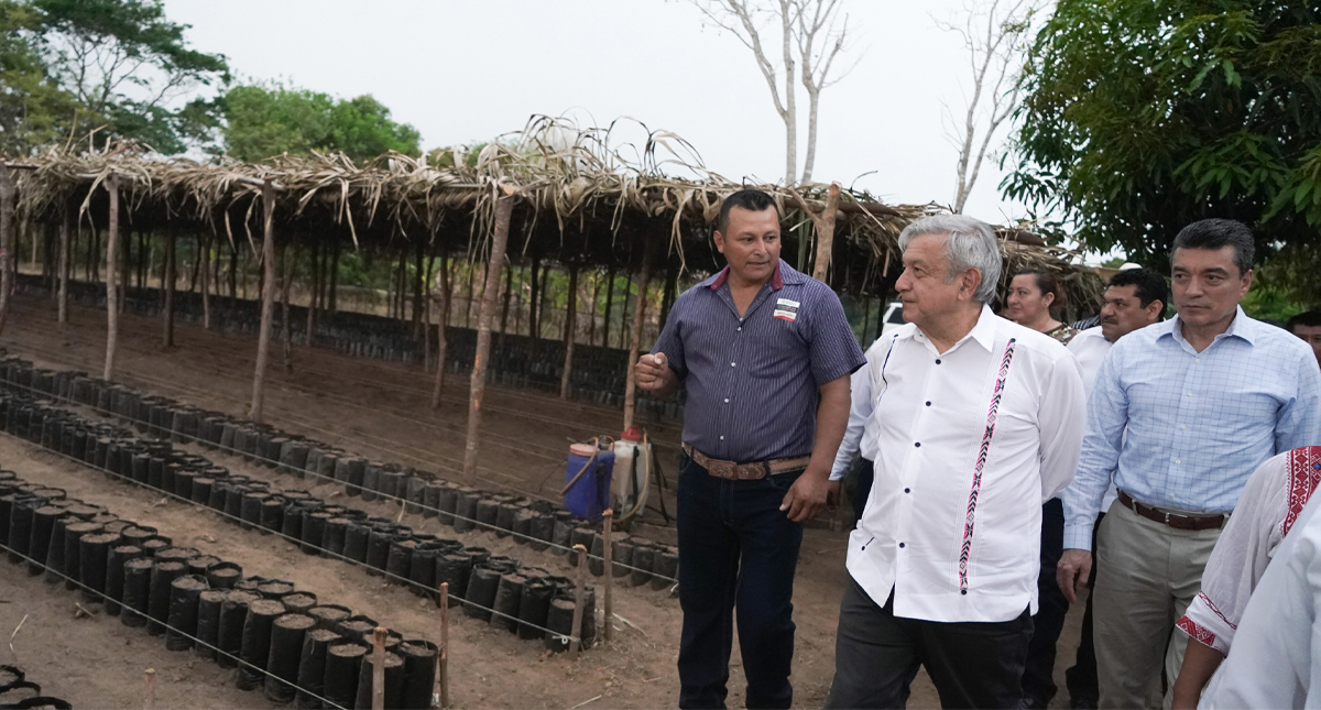 Aprovechen los apoyos y no pierda “el tiempo en la hamaca”: AMLO