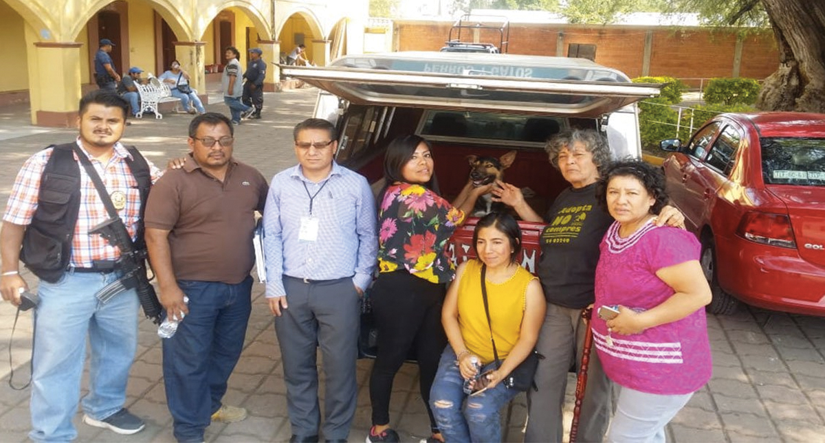 Liberan a perro que permanecía detenido en Oaxaca