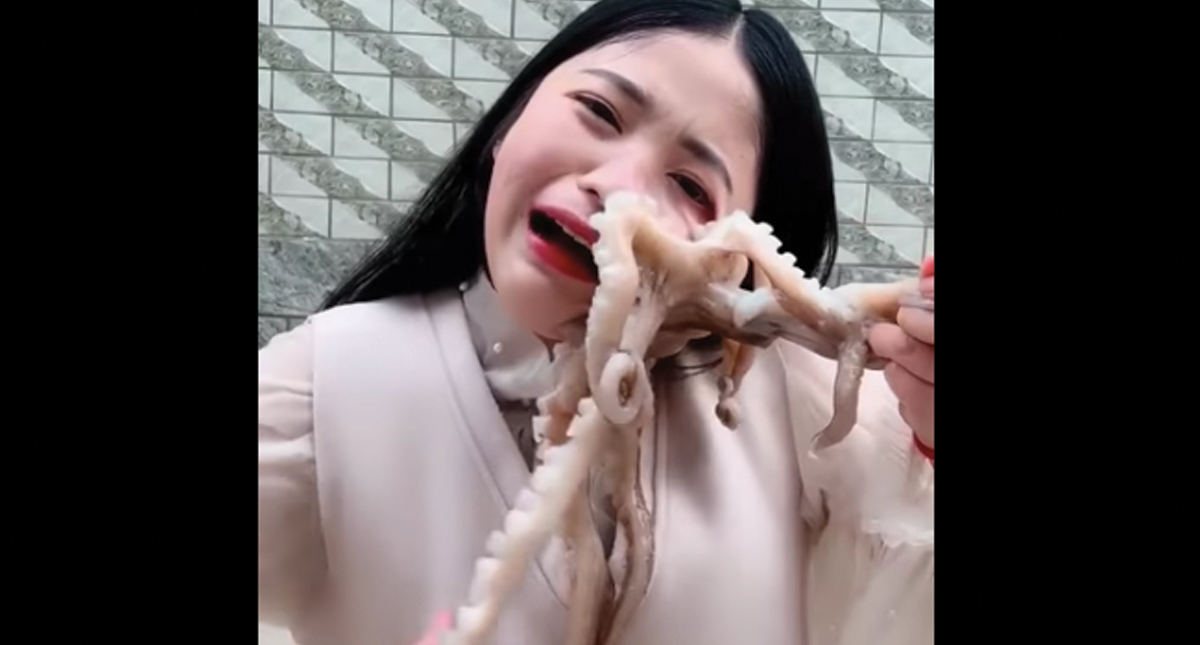 #Video Pulpo ataca a mujer que intentó comerlo vivo