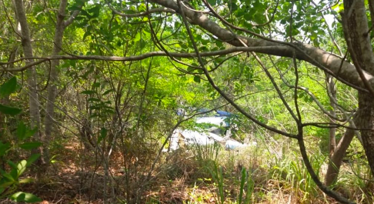 Desplome de aeronave provoca muerte de dos personas en Quintana Roo