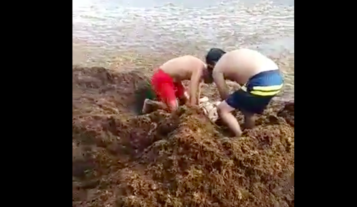 #Video Rescatan a mujer que se ahogaba entre sargazo en Playa del Carmen