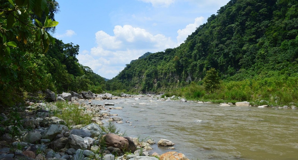 CNDH exige justicia por asesinato de activista indígena en Puebla