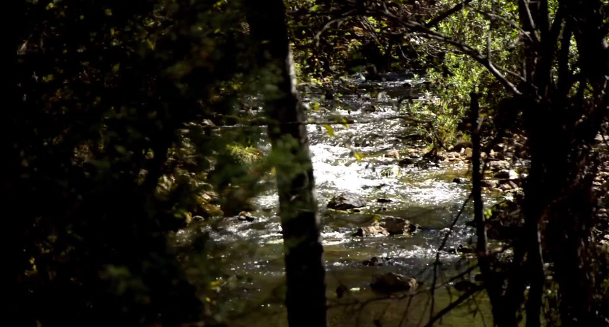 Conagua deberá revelar resultados de análisis a cuenca de Chiapas