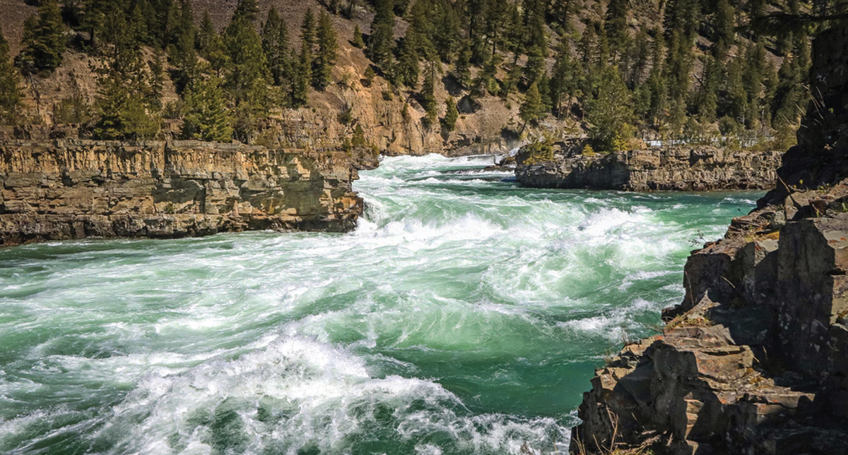 Represas amenazan a grandes ríos