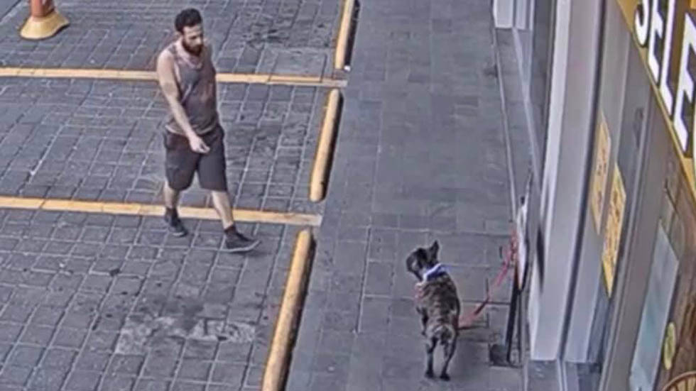 #Video Roban a perro en gasolinera de la CDMX