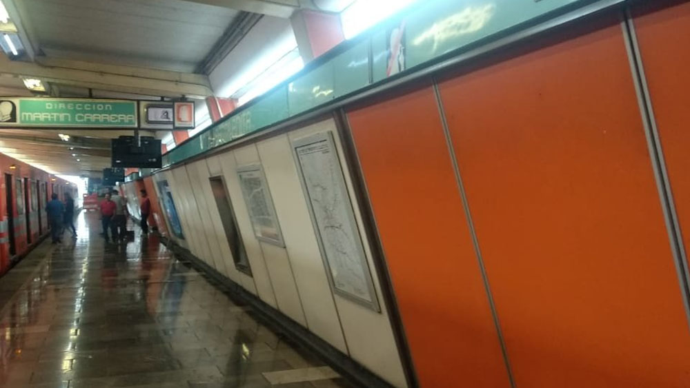 Cae árbol en vías de la Línea 4 del Metro