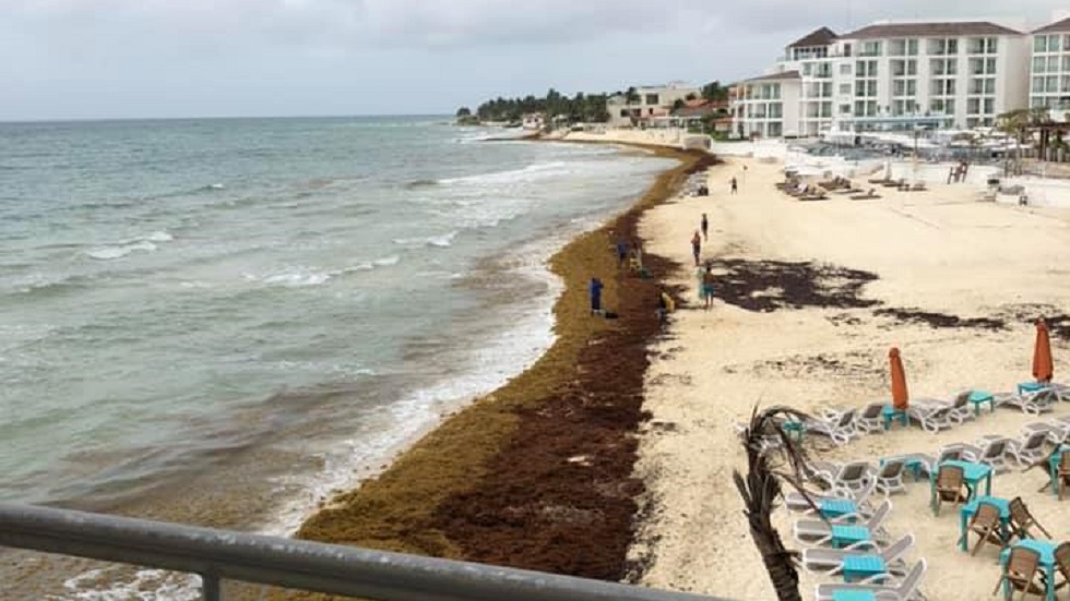 López Obrador se reunirá con hoteleros para atender el sargazo