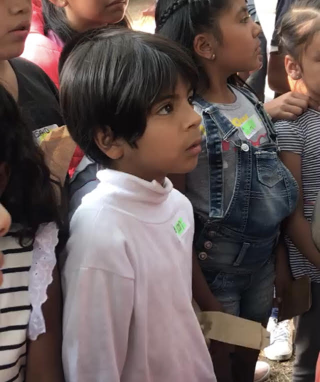 Sembrando Futuro - sembrando-3