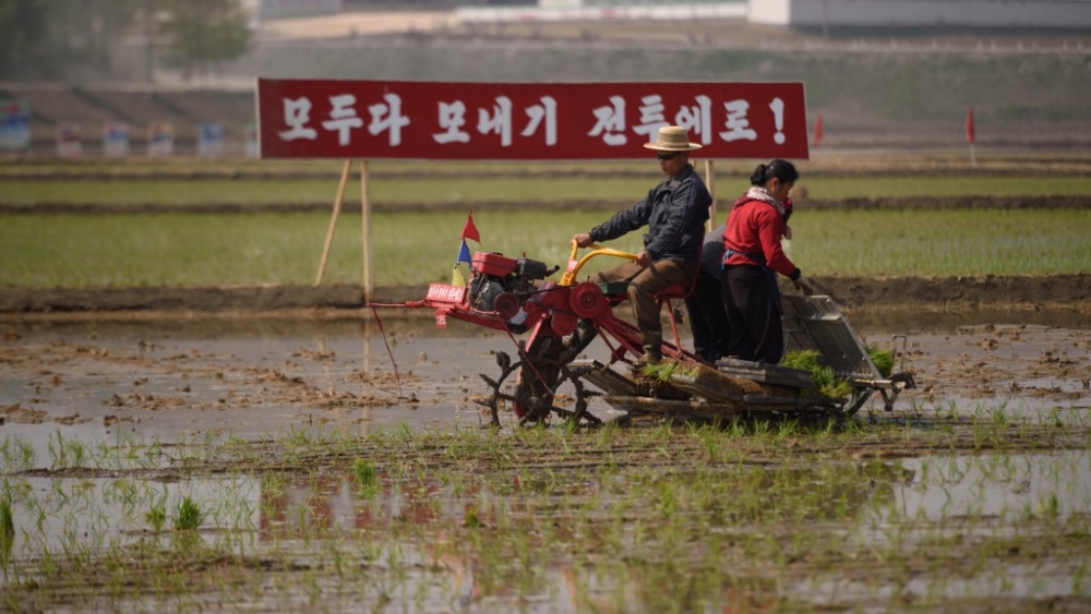 Alertan por riesgo de hambruna tras sequía extrema en Corea del Norte