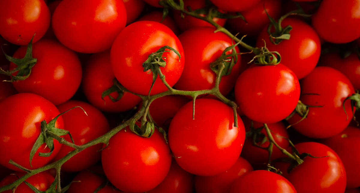 Industria del tomate sufrirá “fuerte turbulencia”: Anpec