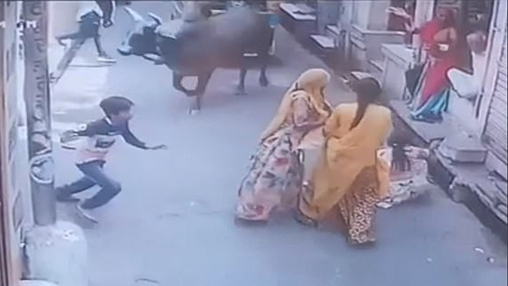 #Video Mujer deja caer a bebé durante ataque de toro
