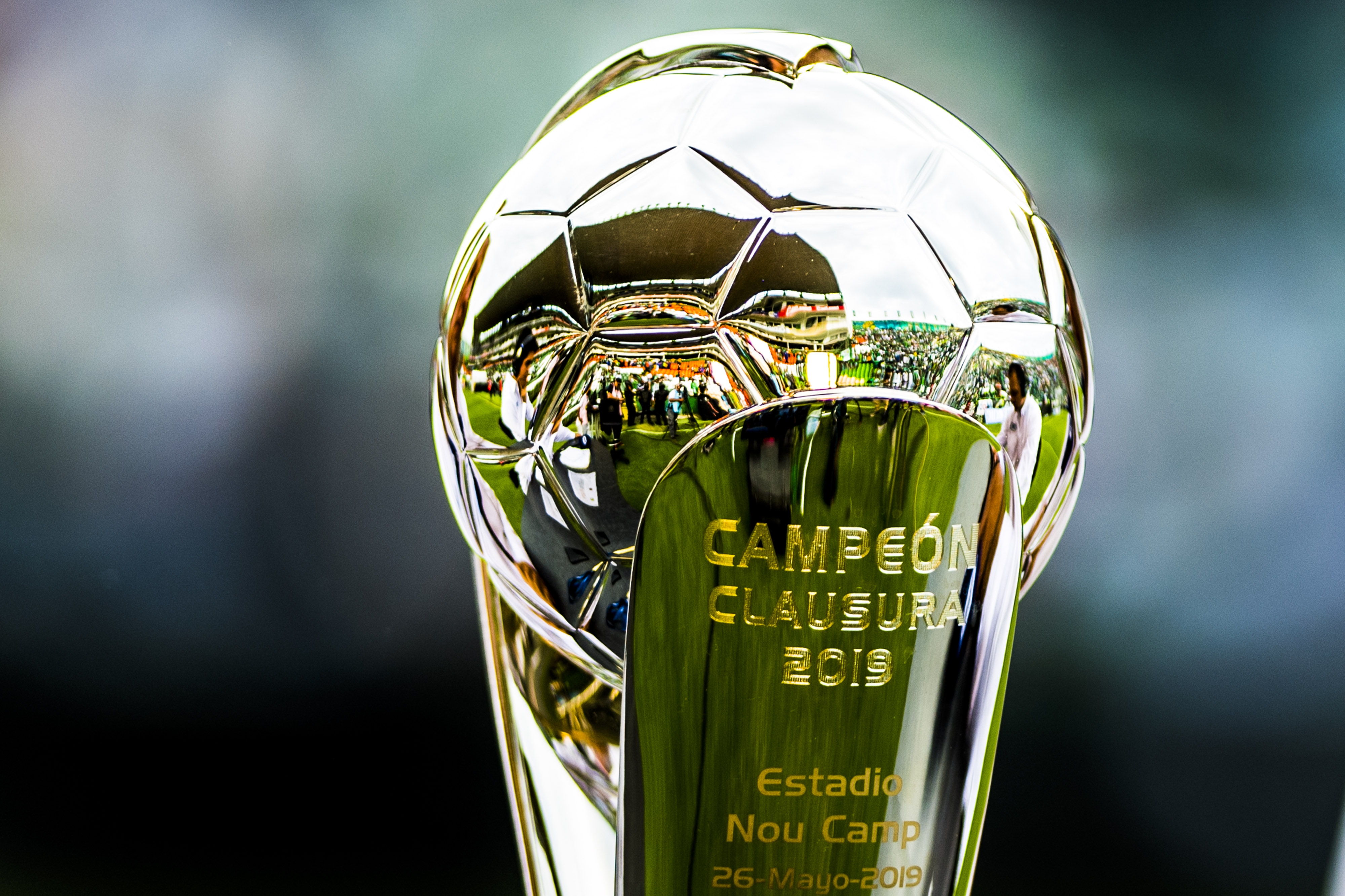 ¡Tigres campeón de la Liga MX! ¡Tigres campeón de la Liga MX!