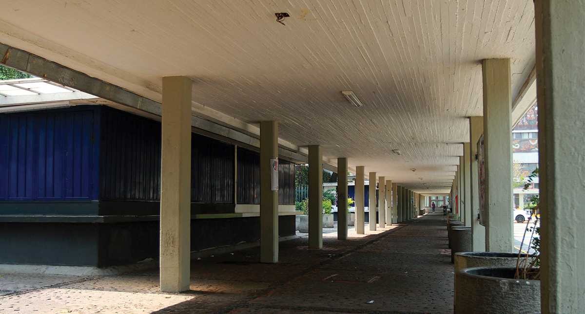 IPN y UNAM suspenden actividades este fin de semana por contingencia