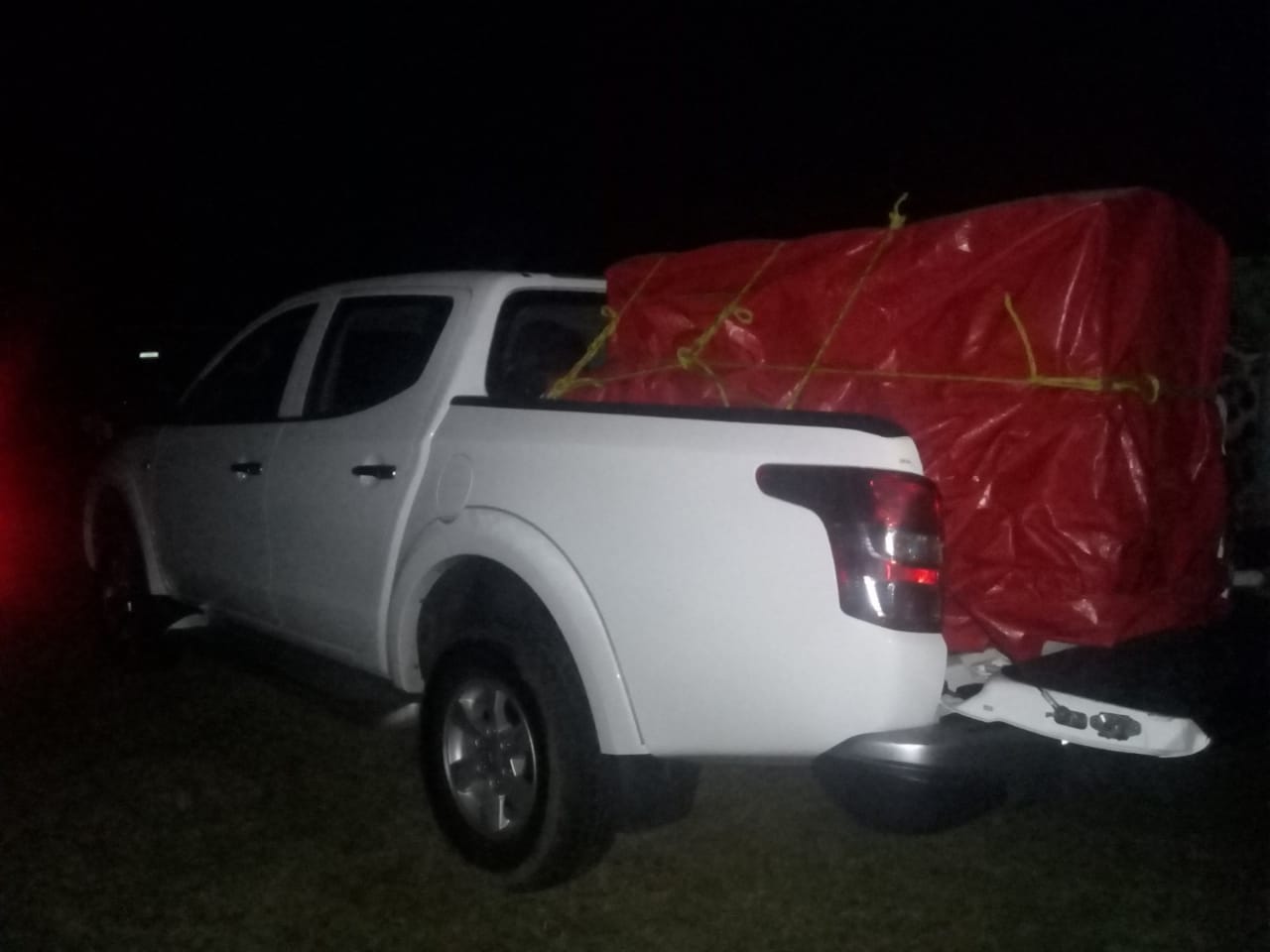 Localizan dos leones, un tigre y un puma en Morelos - whatsapp-image-2019-05-04-at-74457-pm-1