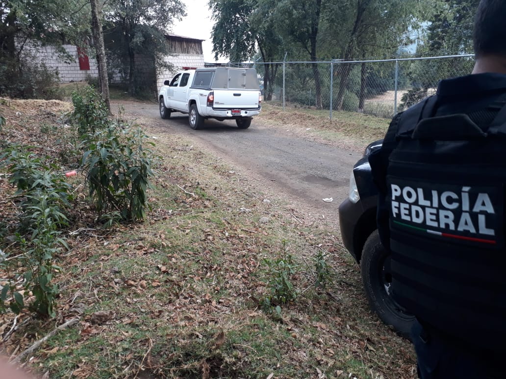 Localizan dos leones, un tigre y un puma en Morelos - whatsapp-image-2019-05-04-at-74458-pm