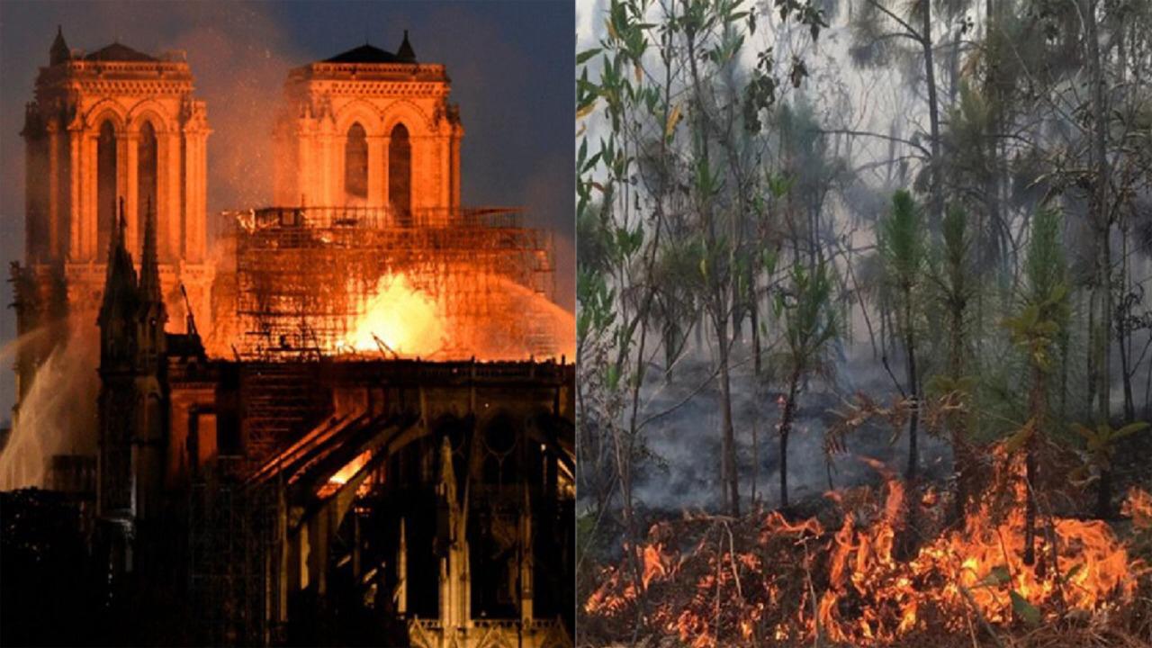 Entre catedrales y la naturaleza