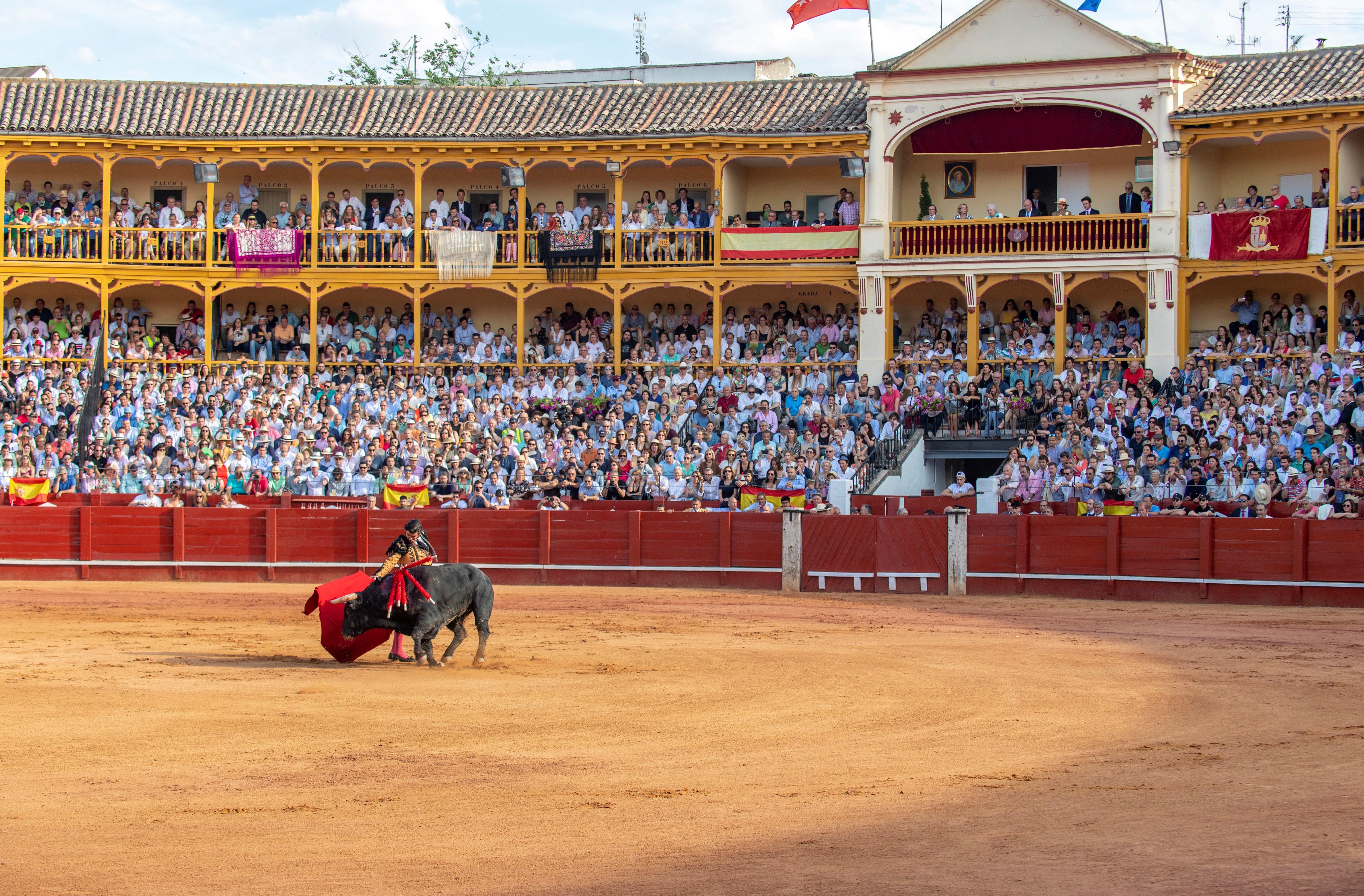 El rey Juan Carlos se retira aclamado por aficionados en una corrida de toros - 636951010462618212