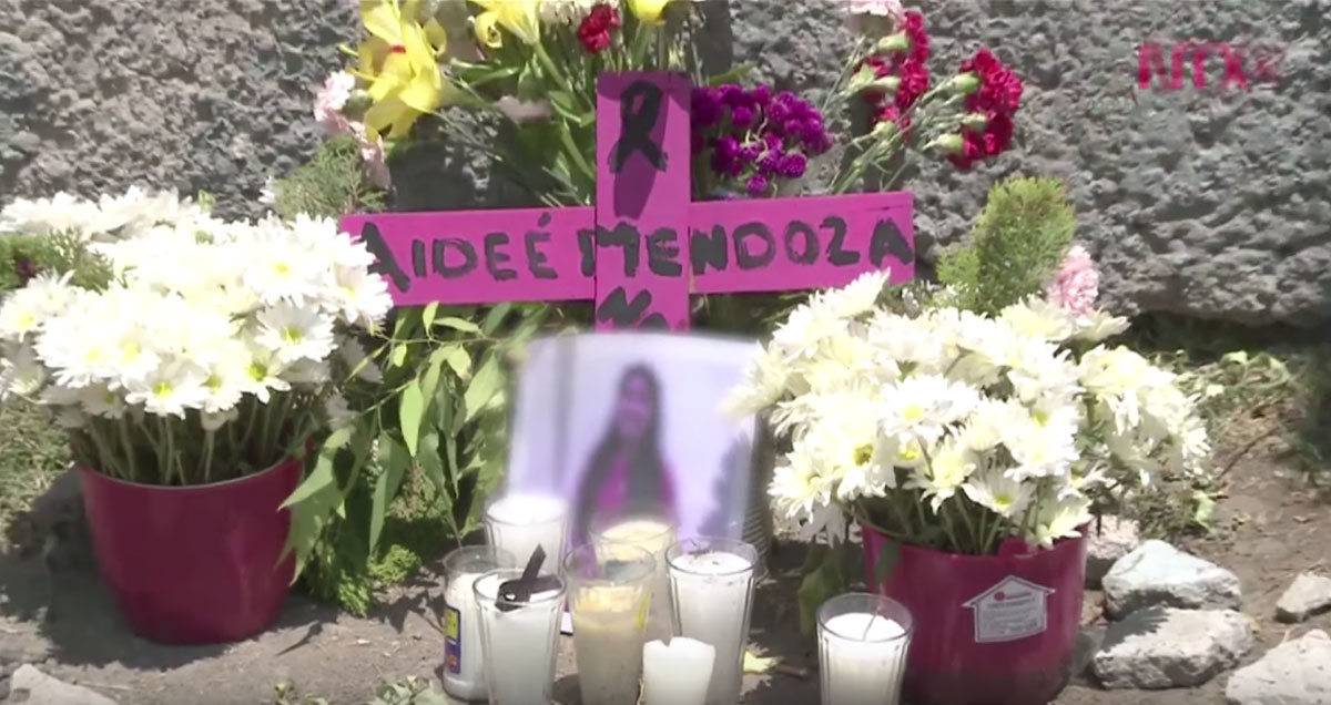 No se decreta la Alerta de Violencia de Género por miedo: OCNF