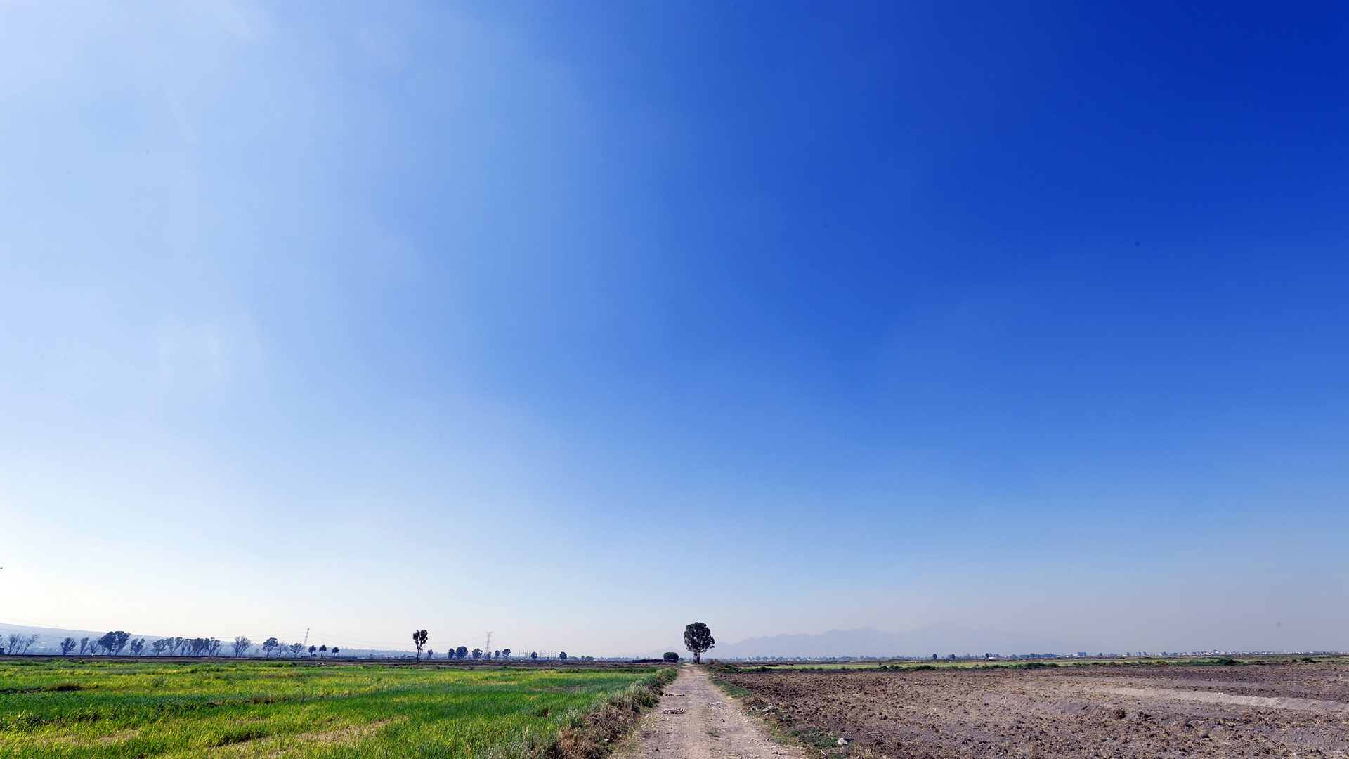 SCT niega contar con estudios técnicos de Santa Lucía y Tren Maya
