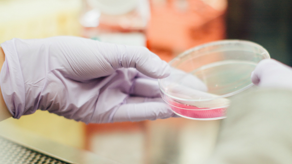 Hombres más propensos a cáncer de próstata si en familia hubo cáncer de mama