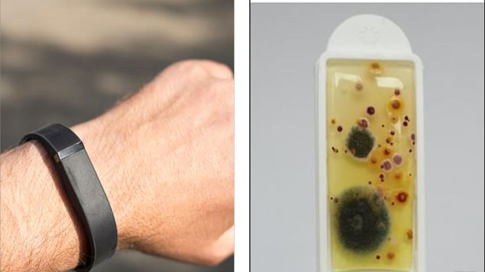 Relojes albergan ocho veces más suciedad que baños - bacterias-de-un-reloj-deportivo