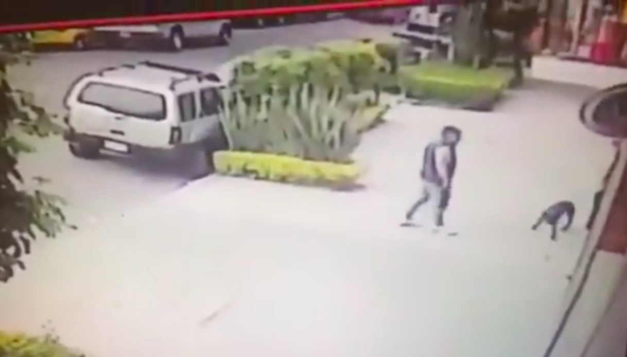 #Video Capturan a banda de ladrones de casas que fingían pasear a perro