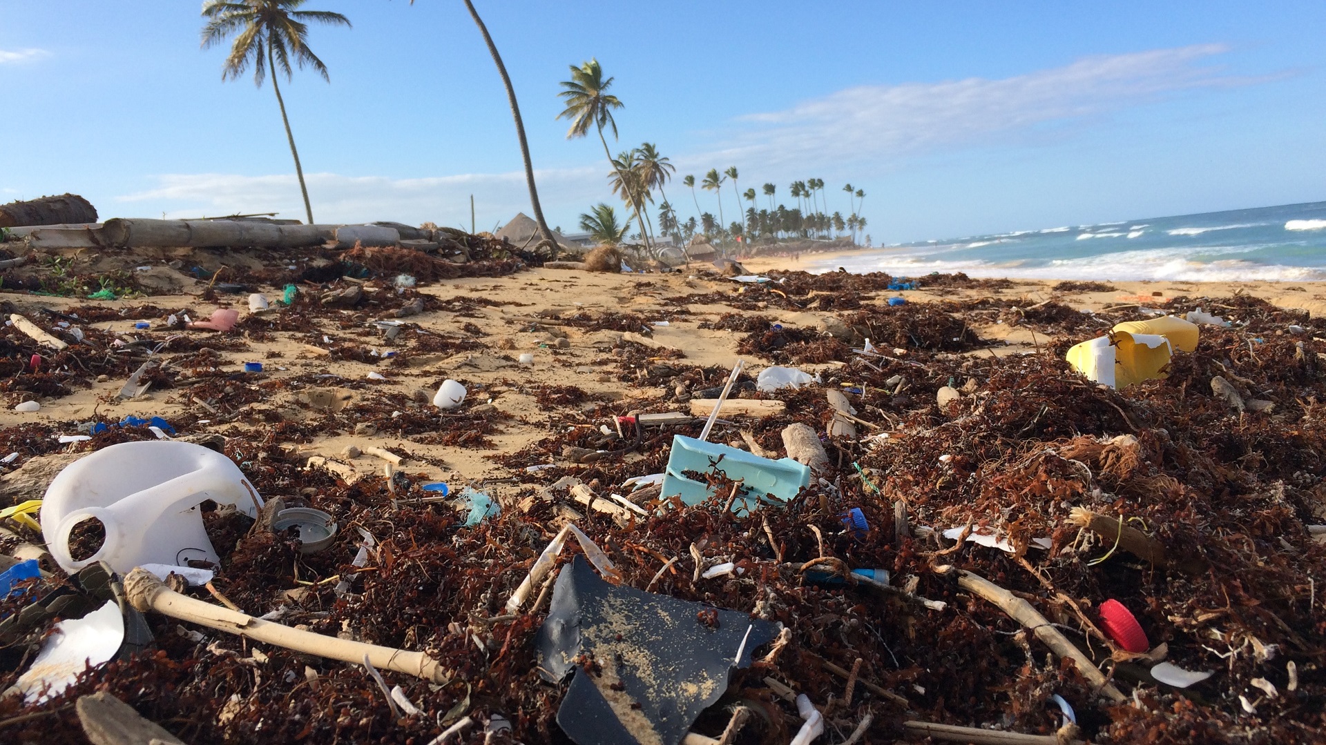 Personas consumen una tarjeta de crédito en plástico a la semana
