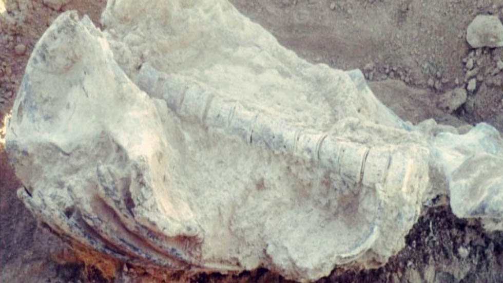 Hallan piezas arqueológicas durante asfaltado de carretera en Bolivia - bolivia-piezas-arqueologicas-asfalto-2