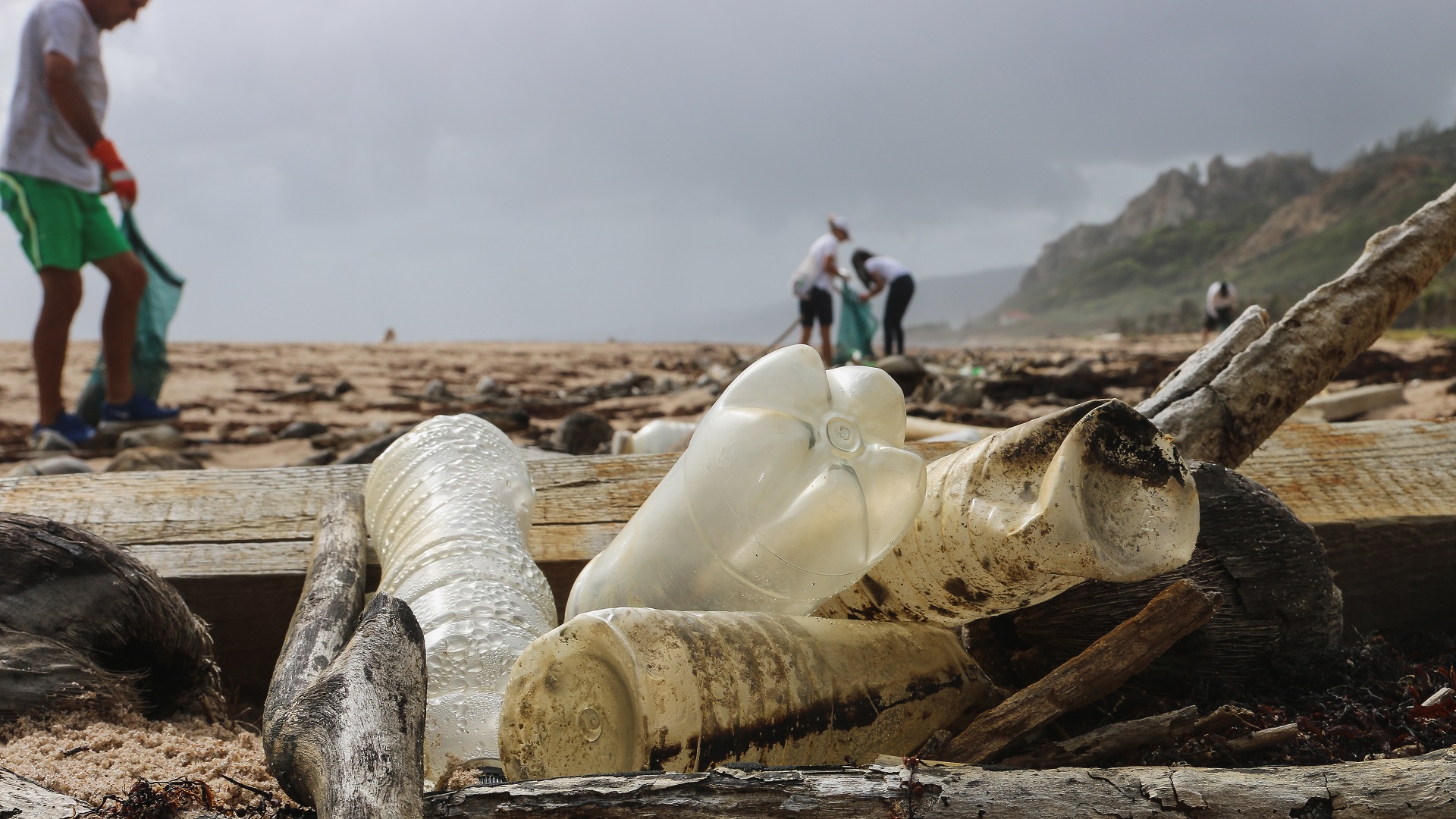 Personas consumen una tarjeta de crédito en plástico a la semana - botellas-de-plastico-en-playa