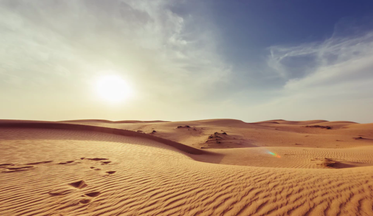 Incrementarán las temperaturas si no se frenan emisiones: OMM