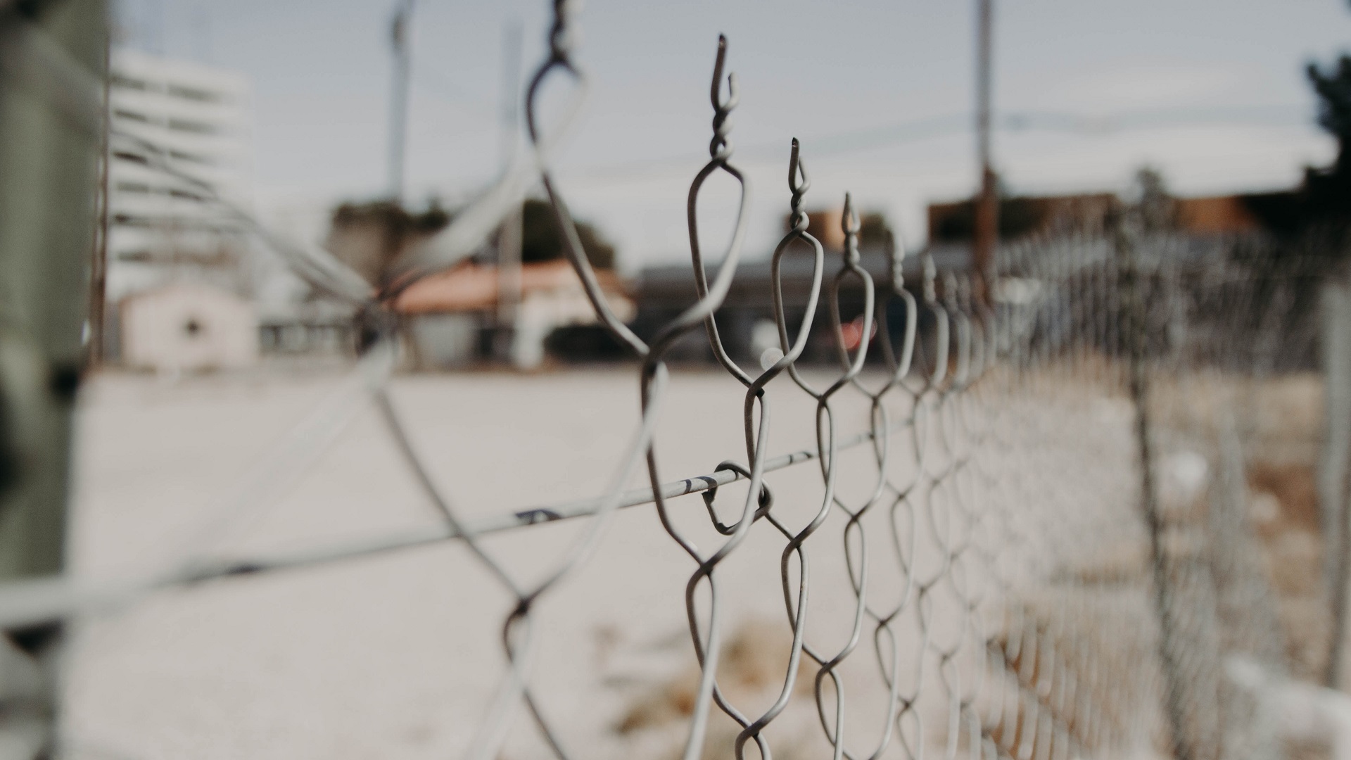 Suman 31 presos políticos liberados por el nuevo Gobierno Federal