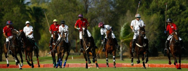 Recomendaciones para el fin de semana - copa-jabali
