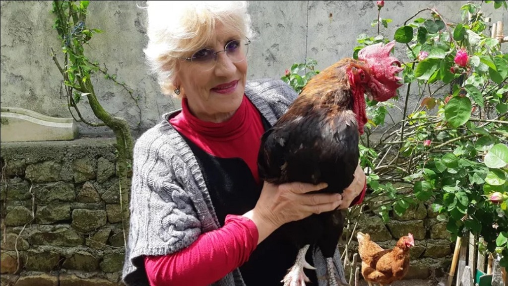 Llaman a juicio a gallo por demanda de vecinos en Francia - corine-fesseau-y-el-gallo-maurice