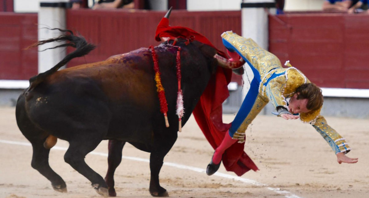 #Video Torero recibe grave cornada en corrida de Feria de San Isidro
