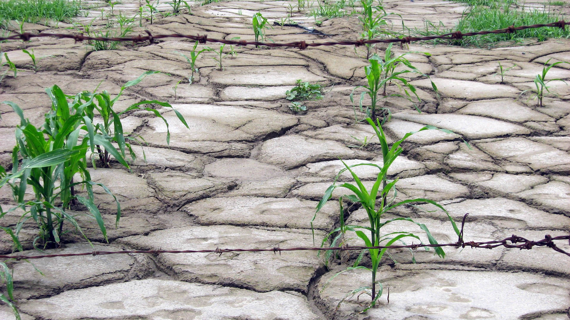 México es uno de los países con más riesgo a la desertificación