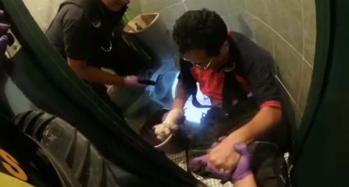 #Video Rescatan a cachorro atorado en tubería del drenaje