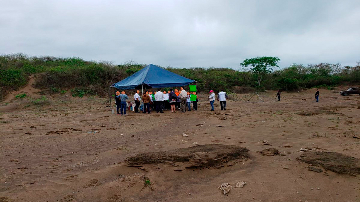 Hallan cinco fosas clandestinas en límites de Oaxaca con Veracruz