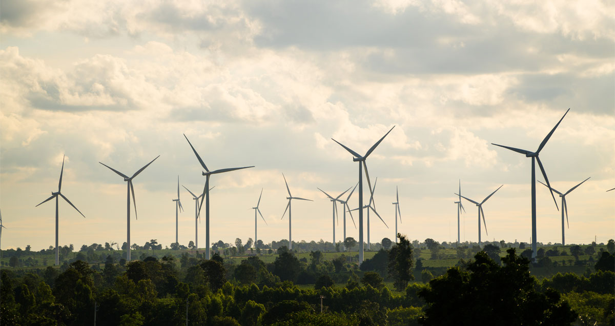 Los beneficios de cuidar el medio ambiente