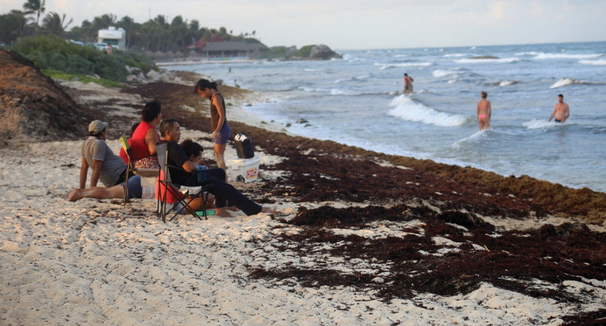 Inicia encuentro para combatir sargazo sin representantes del gobierno federal