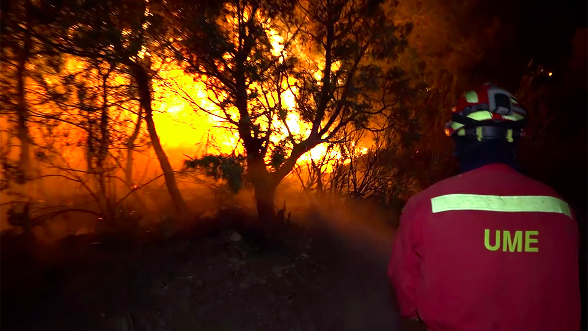 Incendio forestal asola el noreste de España